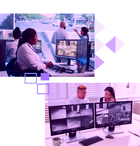 Security Systems